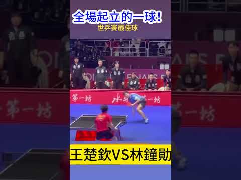 欢乐瞬间,久违相聚的,毛抬厂集体,澳门美高梅赌场在线官网,H5澳门美高梅赌场在线官网,澳门美高梅赌场在线官网在线娱乐平台