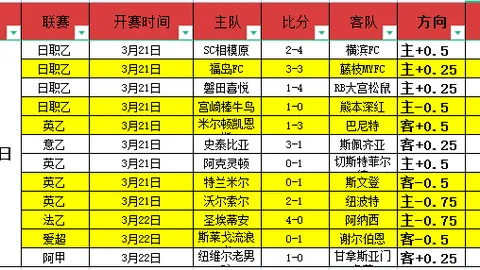布鲁诺费尔南德斯英超表现：数据解析及专家推荐